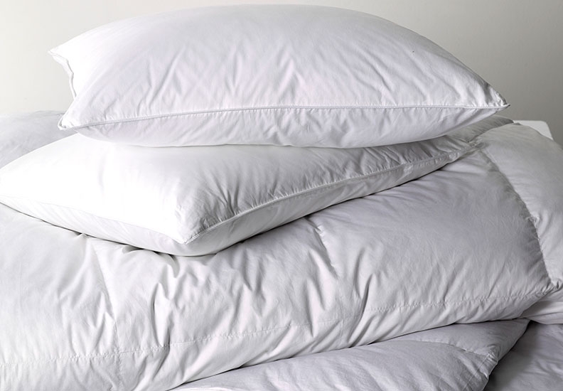 Bedding and Home Accessories Eddie Bauer