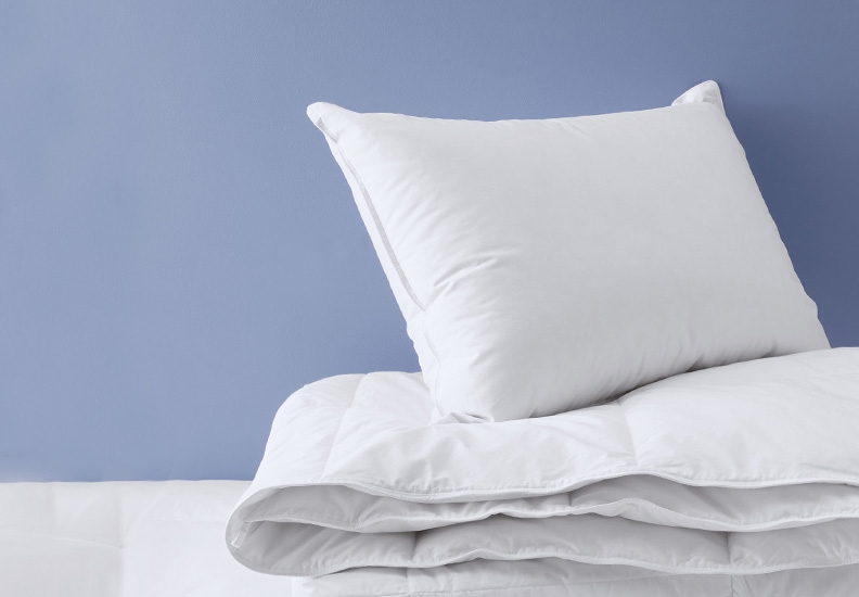 Bedding and Home Accessories Eddie Bauer