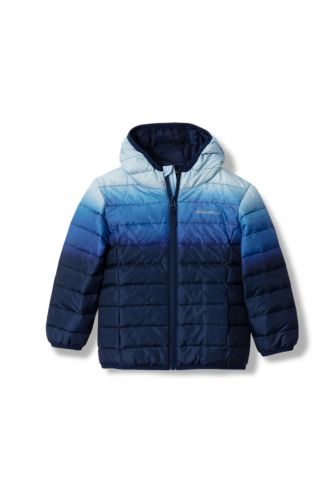 Toddler CirrusLite Down Hooded Jacket