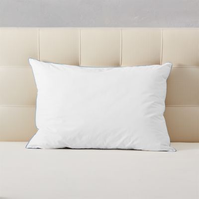 Eddie best sale bauer pillows