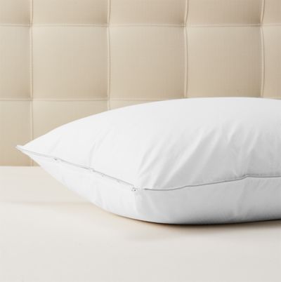 Freecool Pillow Protector Eddie Bauer