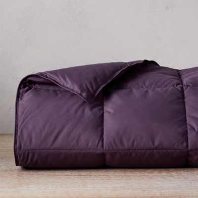 Down Throw Solid Eddie Bauer