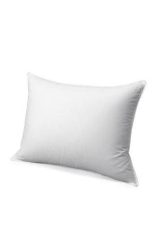 Premium Down Pillow Medium Eddie Bauer