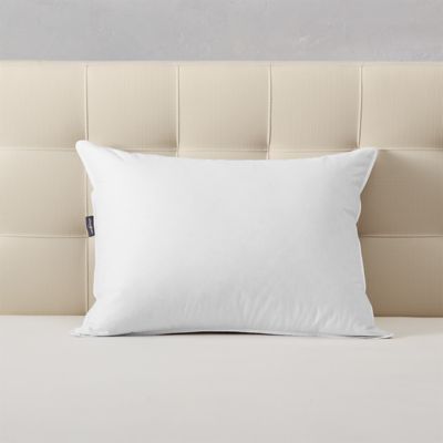 Eddie bauer 2025 pillows costco