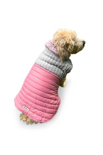 Eddie bauer pet on sale jacket