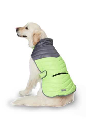 Eddie bauer quilted sales dog jacket