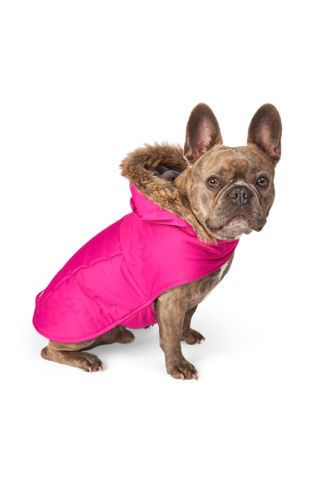 Eddie Bauer PET Chinook Hooded Parka by PetRageous Designs! – The