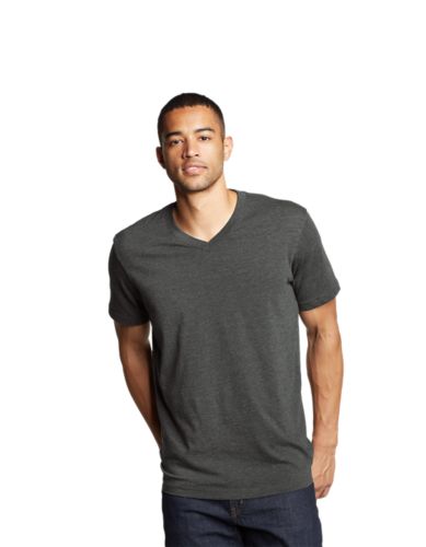 Men's Legend Wash Pro Short-sleeve V-neck T-shirt | Eddie Bauer
