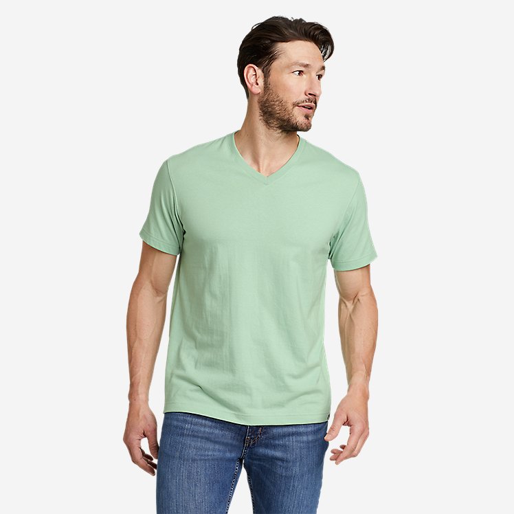 Men's Legend Wash Pro Short-Sleeve V-Neck T-Shirt large version